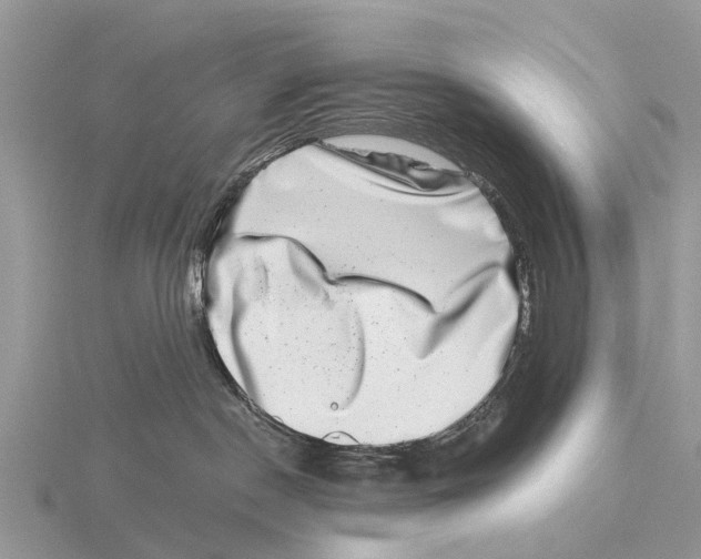 X0000115670190200912101120