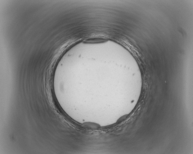 X0000115670193200912101120