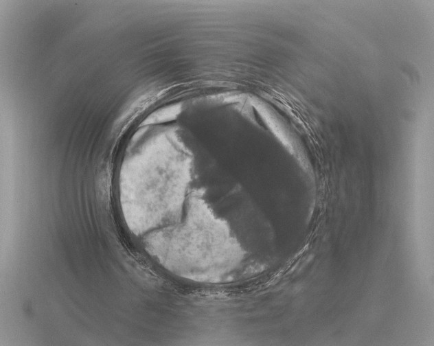 X0000115670194200912101120