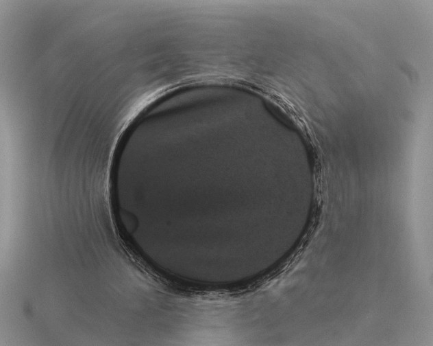 X0000115670196200912101120