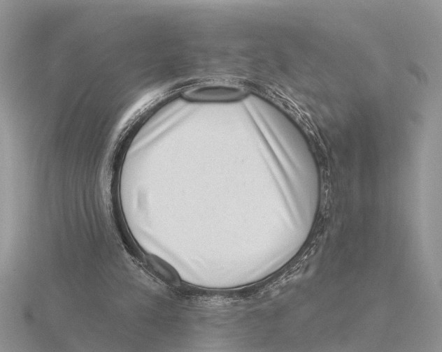 X0000115670197200912101120