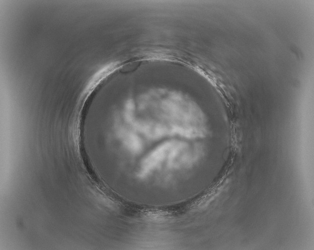 X0000115670199200912101119