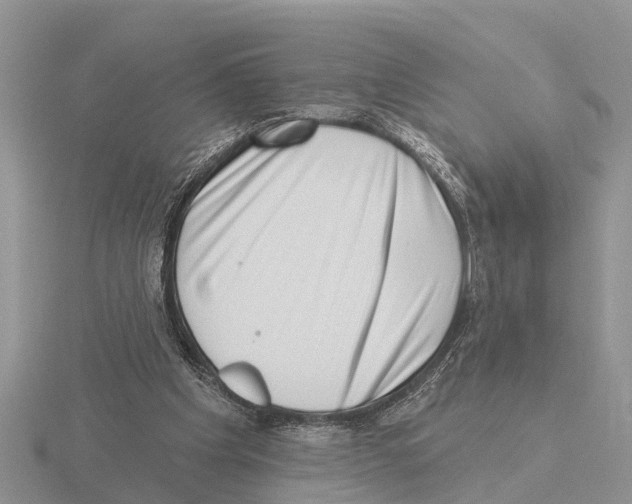 X0000115670201200912101119