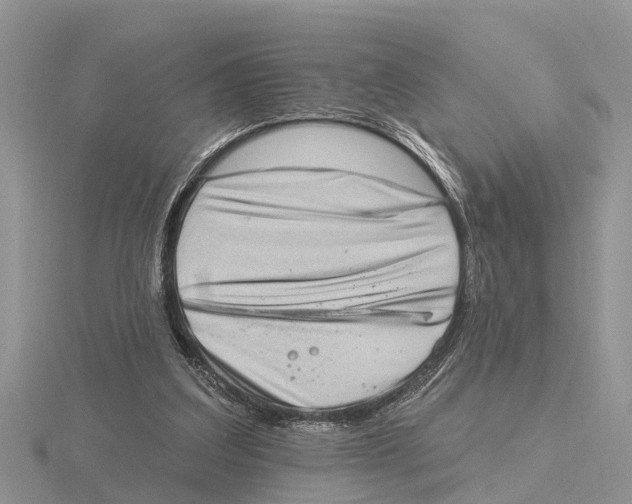 X0000115670203200912101119