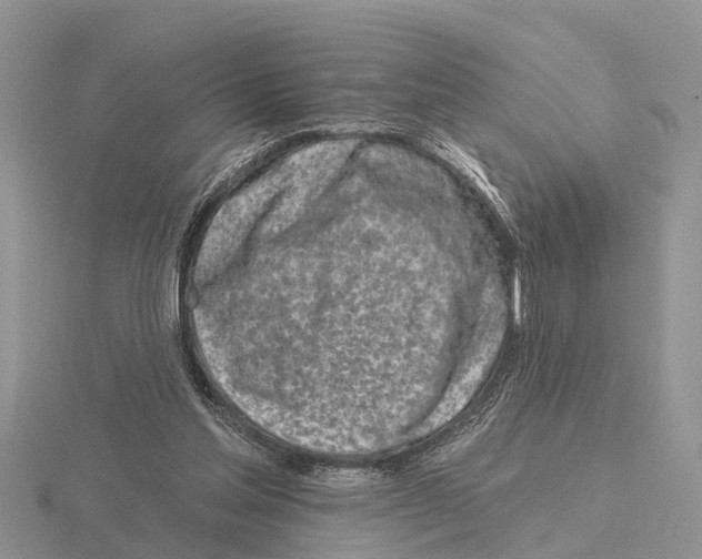 X0000115670205200912101119