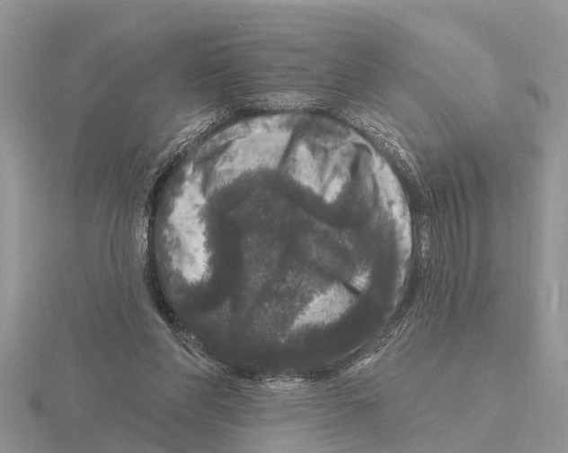 X0000115670206200912101119