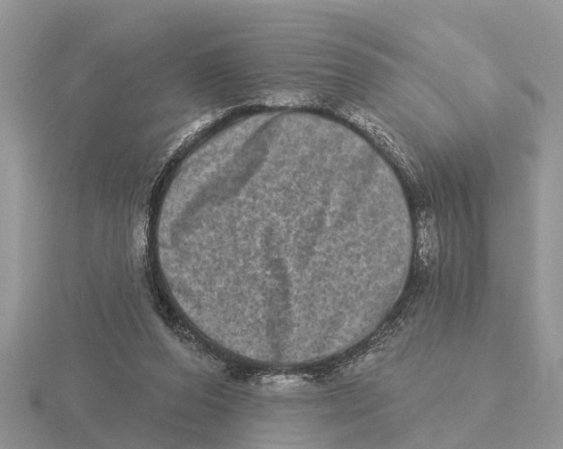 X0000115670208200912101119