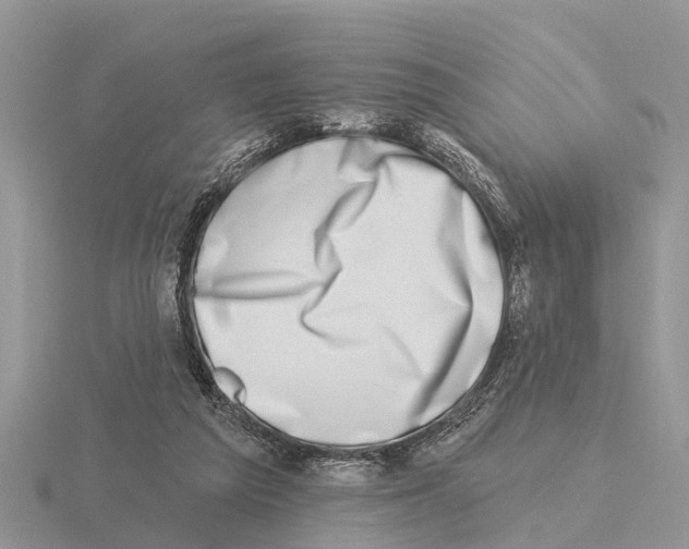 X0000115670209200912101119