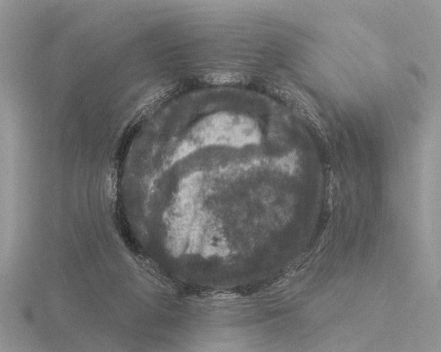 X0000115670210200912101119