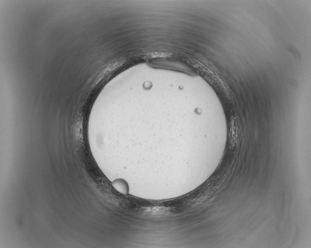 X0000115670212200912101119