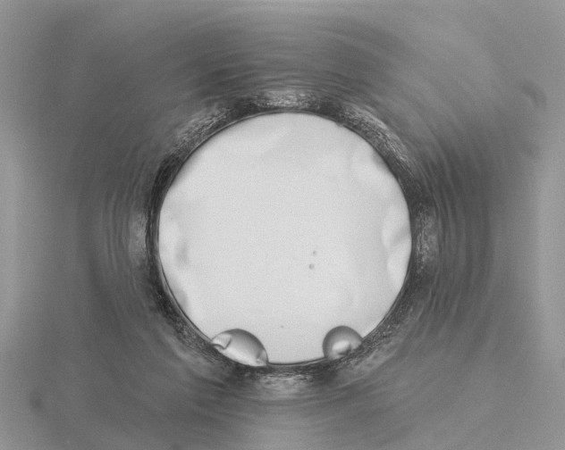 X0000115670213200912101119