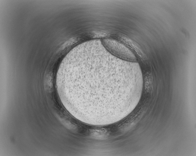 X0000115670215200912101119