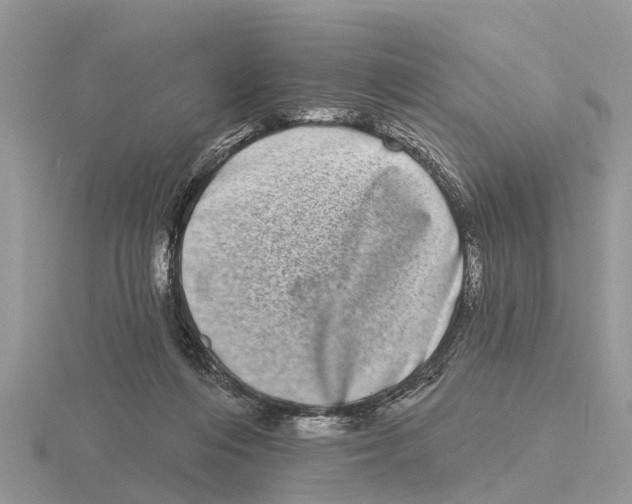 X0000115670216200912101119