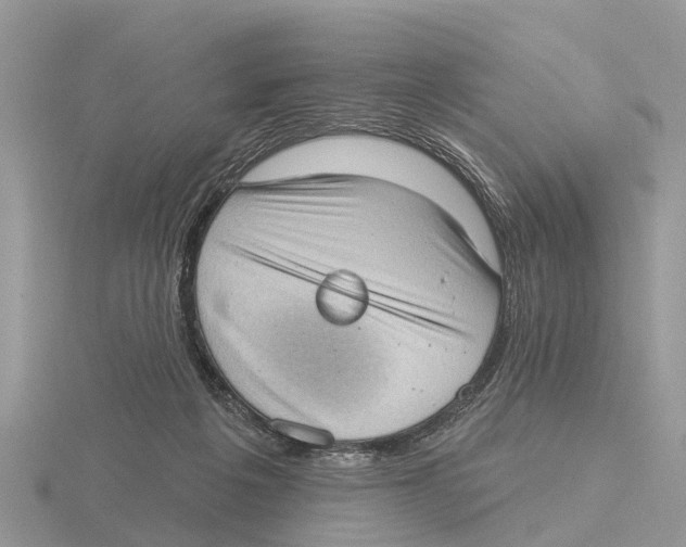 X0000115670217200912101119