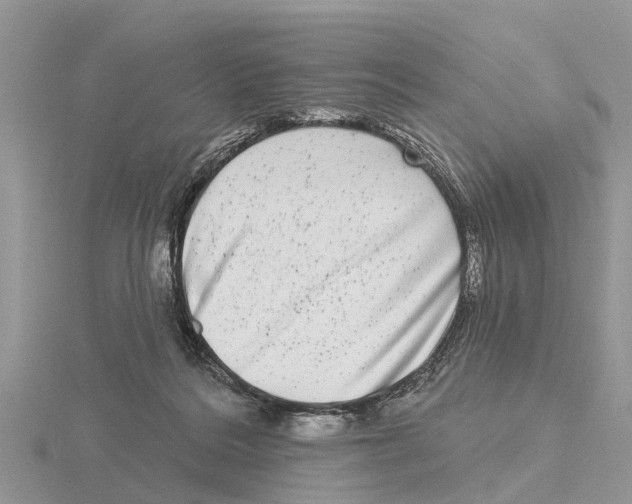 X0000115670220200912101119