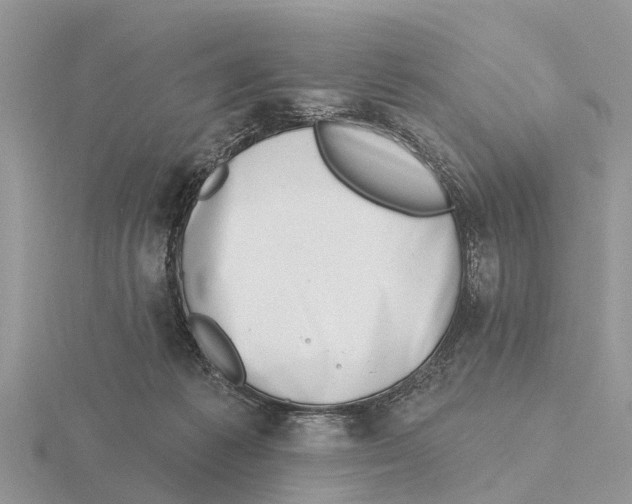 X0000115670221200912101119