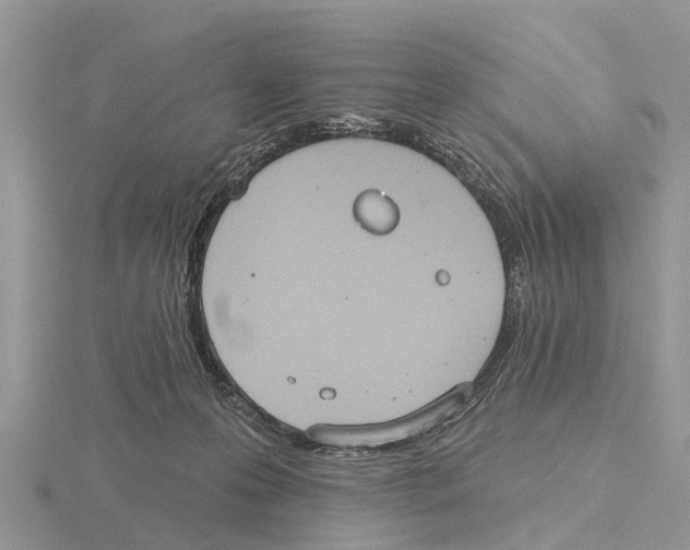 X0000115670223200912101119