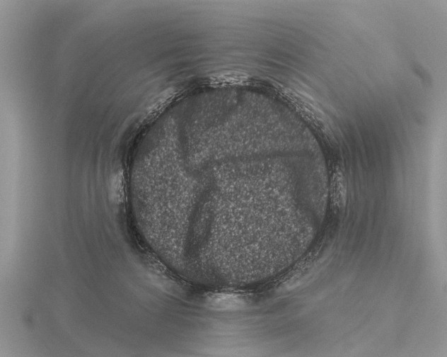 X0000115670224200912101119