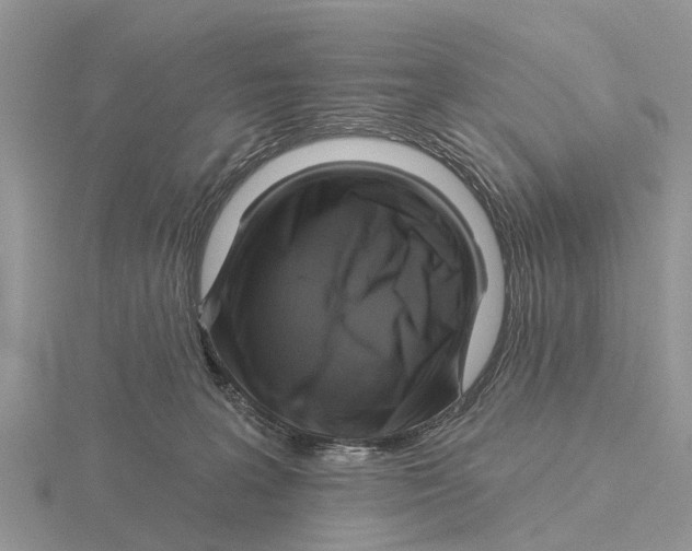 X0000115670227200912101119