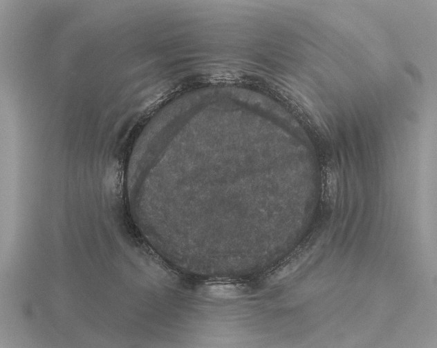 X0000115670228200912101119