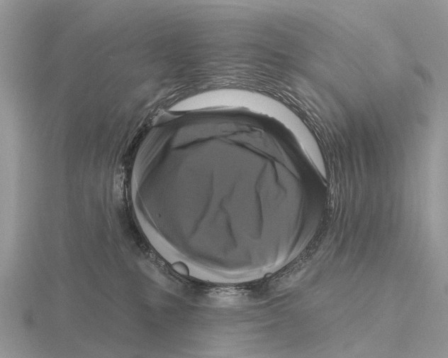 X0000115670231200912101119