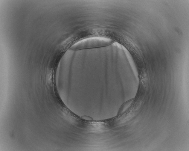 X0000115670233200912101119