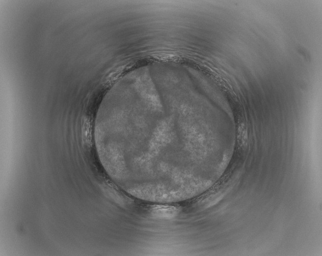 X0000115670234200912101119