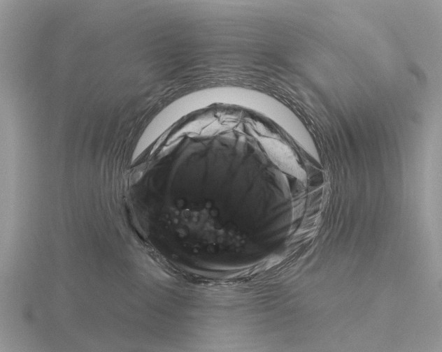 X0000115670235200912101119