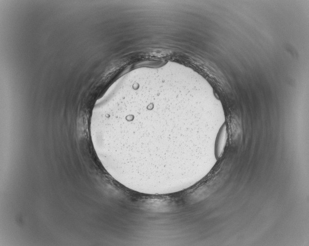 X0000115670236200912101119