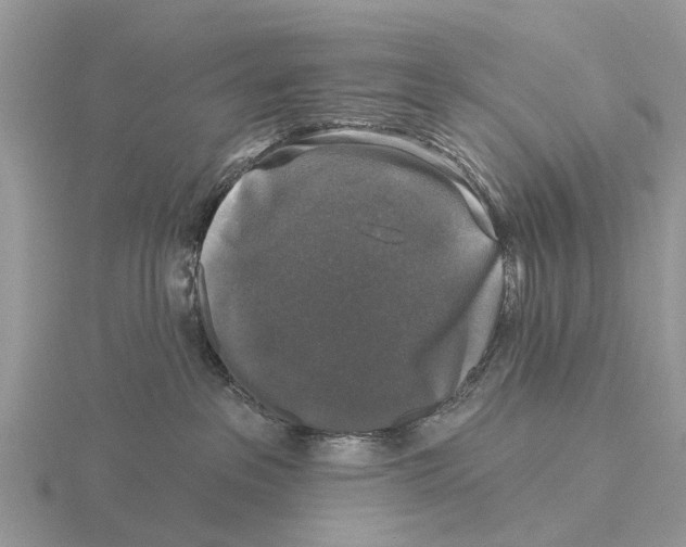 X0000115670237200912101119