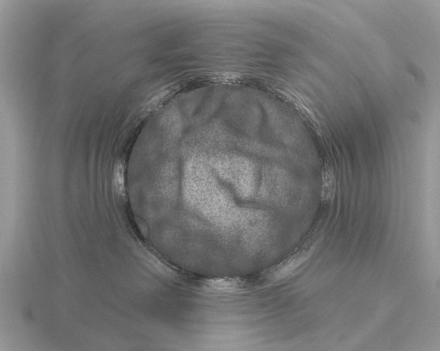 X0000115670238200912101119