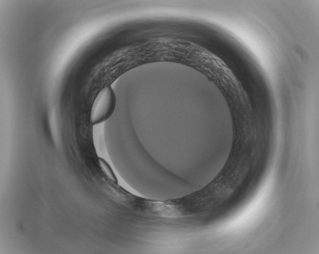 X0000115670239200912101119