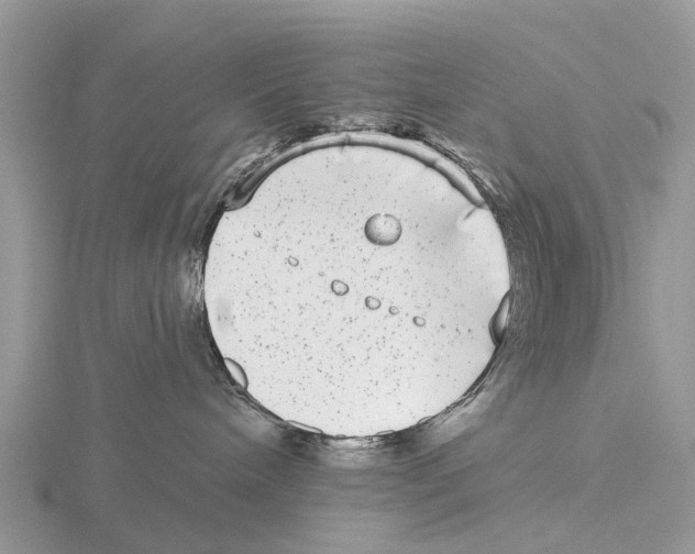 X0000115670240200912101119