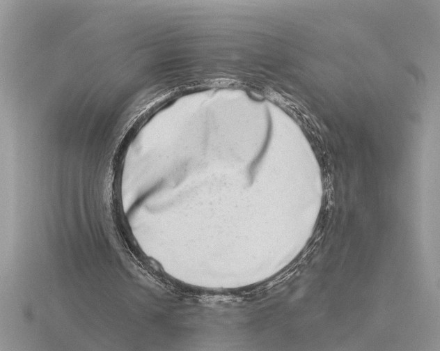 X0000115670242200912101118