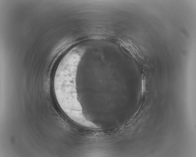 X0000115670243200912101118