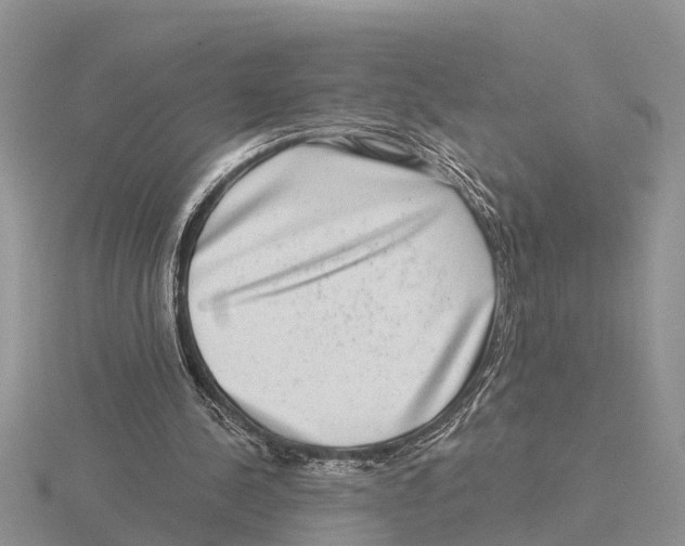 X0000115670244200912101118