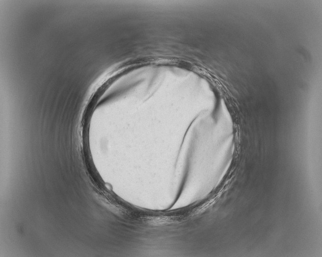 X0000115670246200912101118