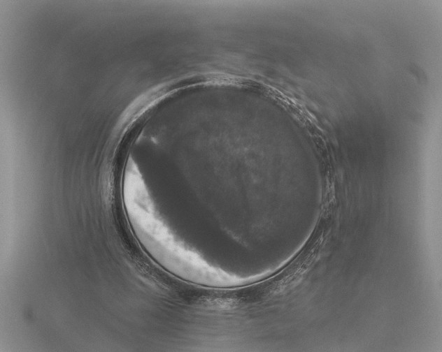 X0000115670247200912101118