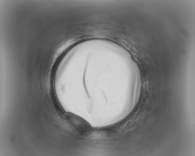 X0000115670248200912101118