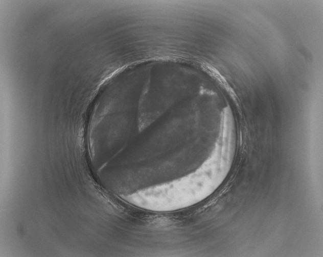 X0000115670249200912101118