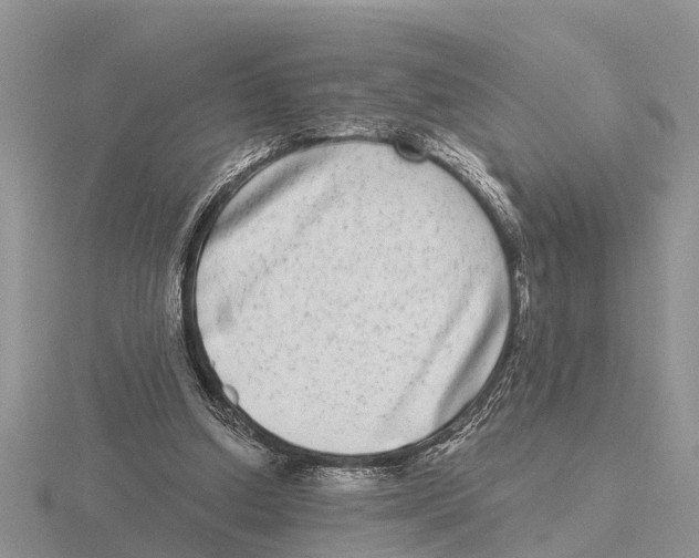 X0000115670250200912101118