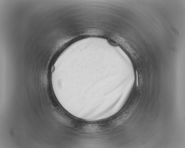 X0000115670252200912101118