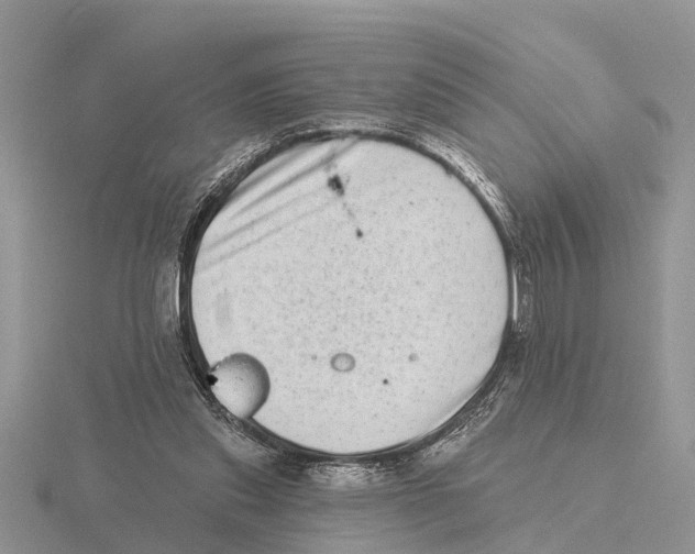 X0000115670253200912101118