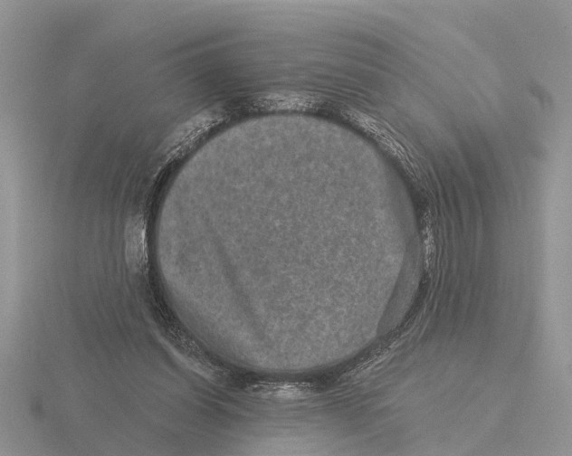 X0000115670254200912101118