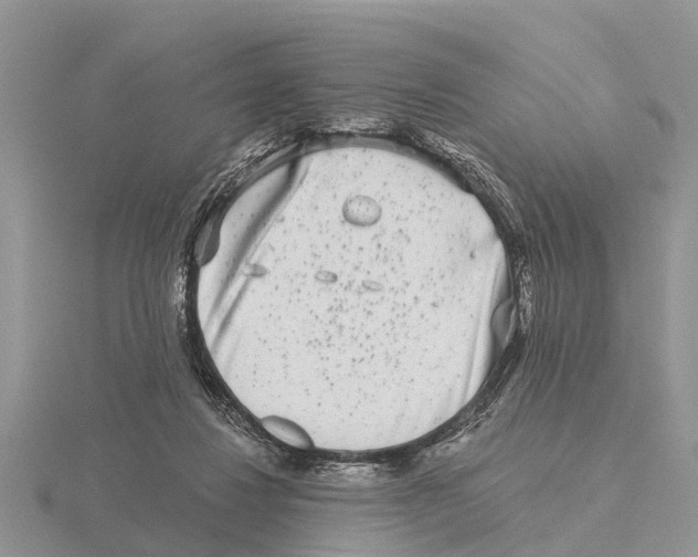 X0000115670260200912101118