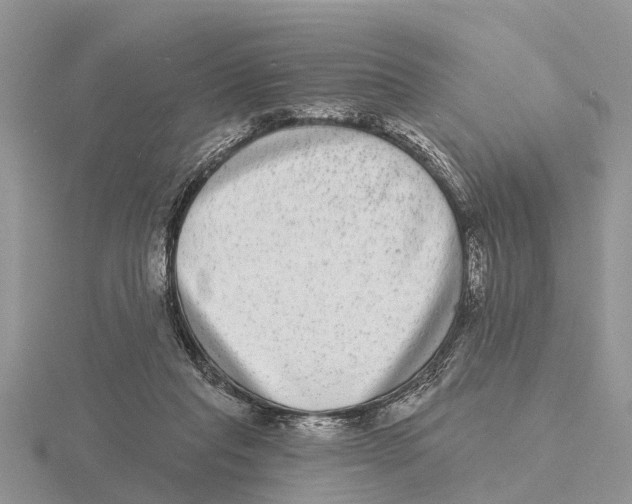 X0000115670261200912101118