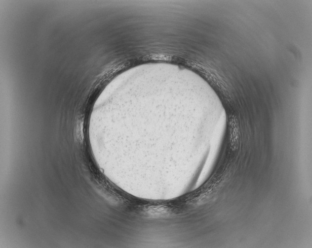 X0000115670262200912101118