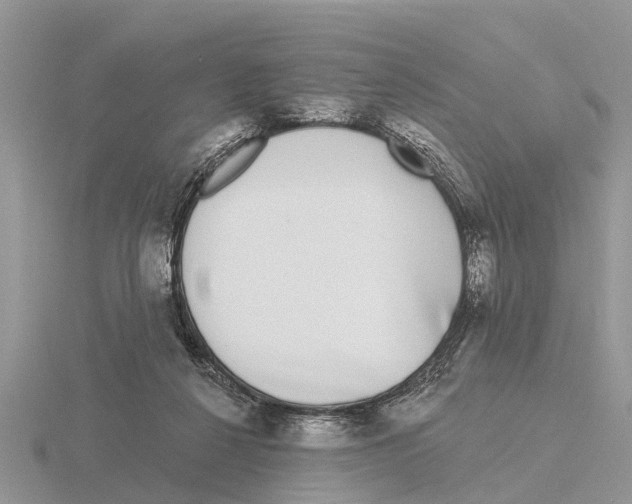 X0000115670264200912101118