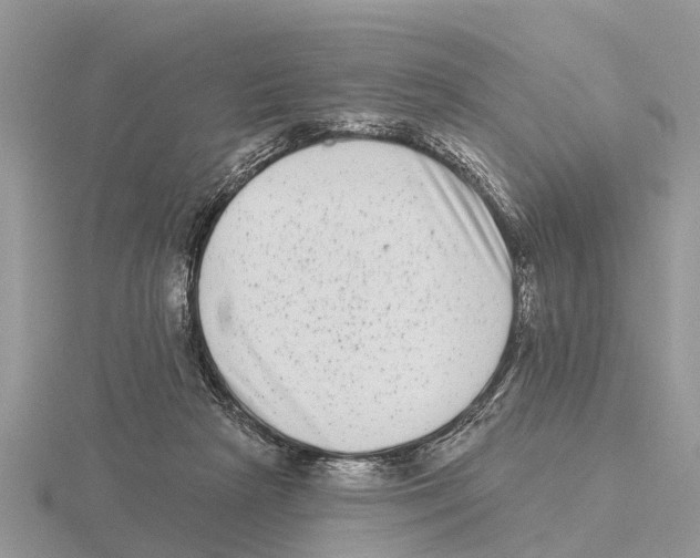 X0000115670265200912101118