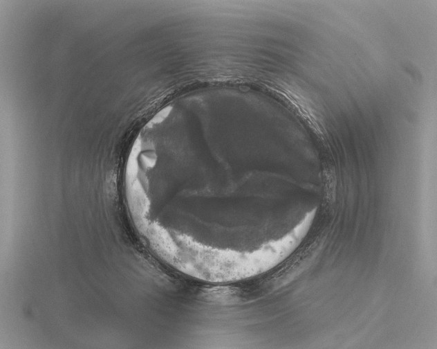 X0000115670269200912101119